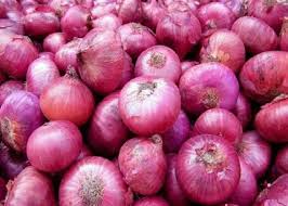 Red Onion